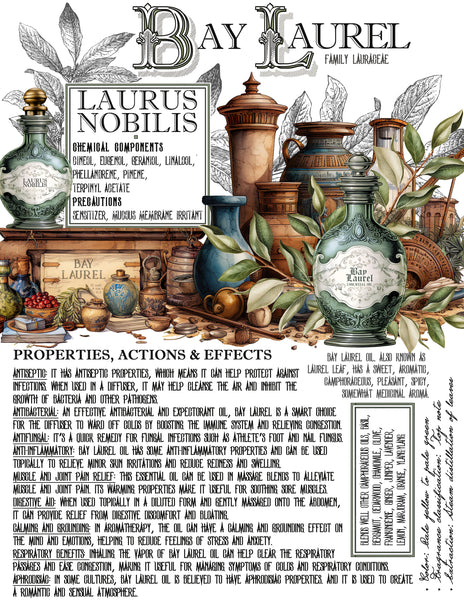 Bay Leaf