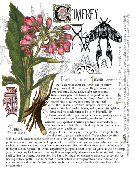 Comfrey