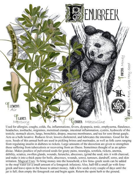 Fenugreek Seed
