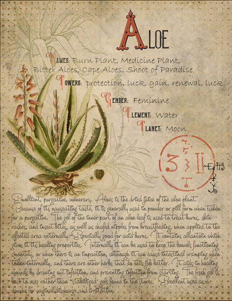 Aloe Leaf