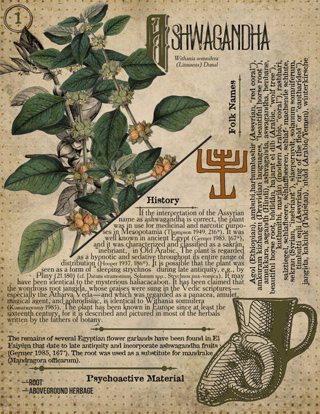 Ashwagandha Root