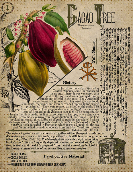 CaCao Nibs