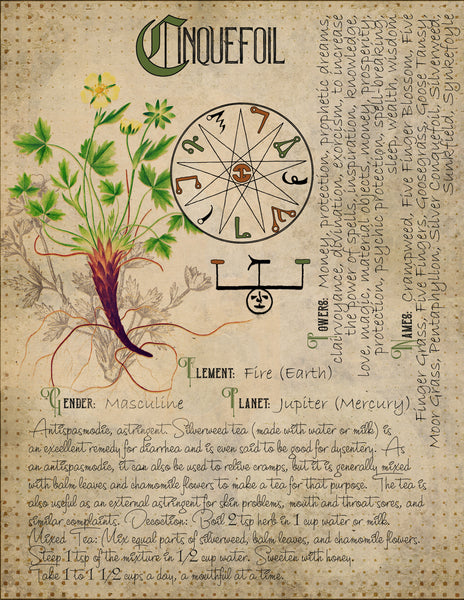 Cinquefoil