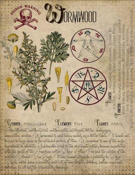 Wormwood