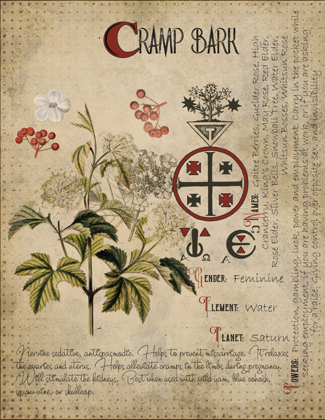 Cramp Bark