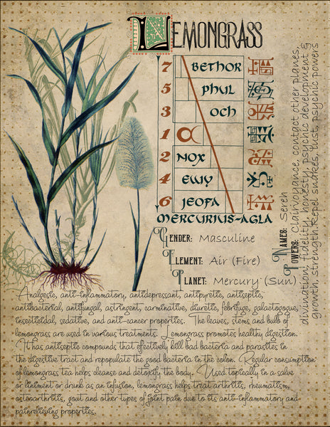 Lemon Grass