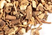 Mandrake Root