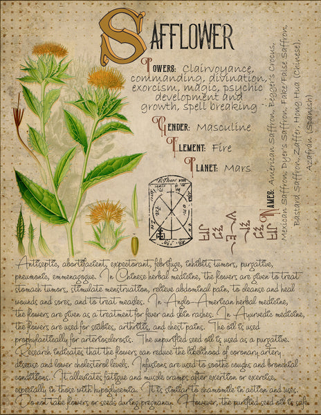 Safflower