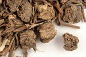 Valerian Root
