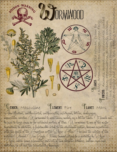 Wormwood