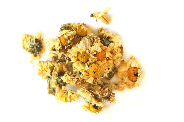 Dried Chrysanthemum Flowers: Longevity, Protection, Clarity (Chrysanthemum × morifolium)