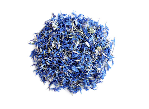 Cornflower