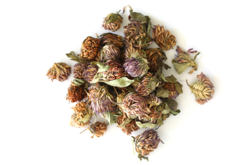 Red Clover