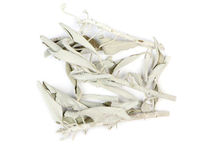 White Sage