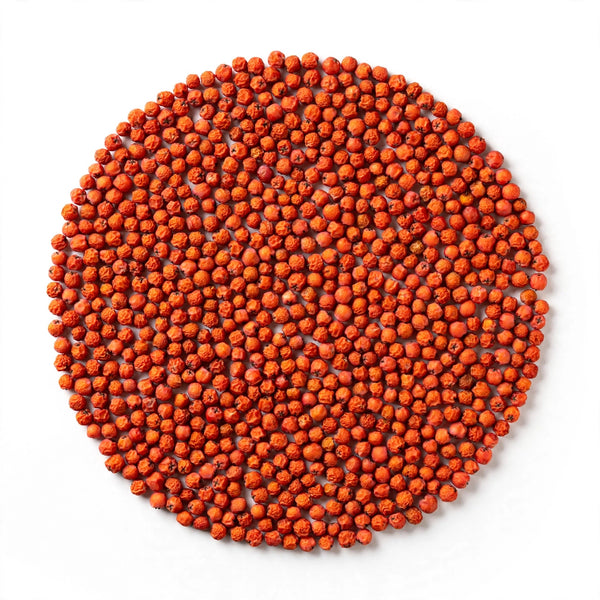 Dried Rowan Berries 0.5oz — Protection, Wisdom and Psychic Insight (Sorbus aucuparia), Apothecary