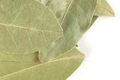 Bay Leaf