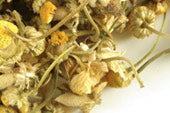 Chamomile