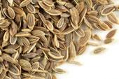 Dill Seed