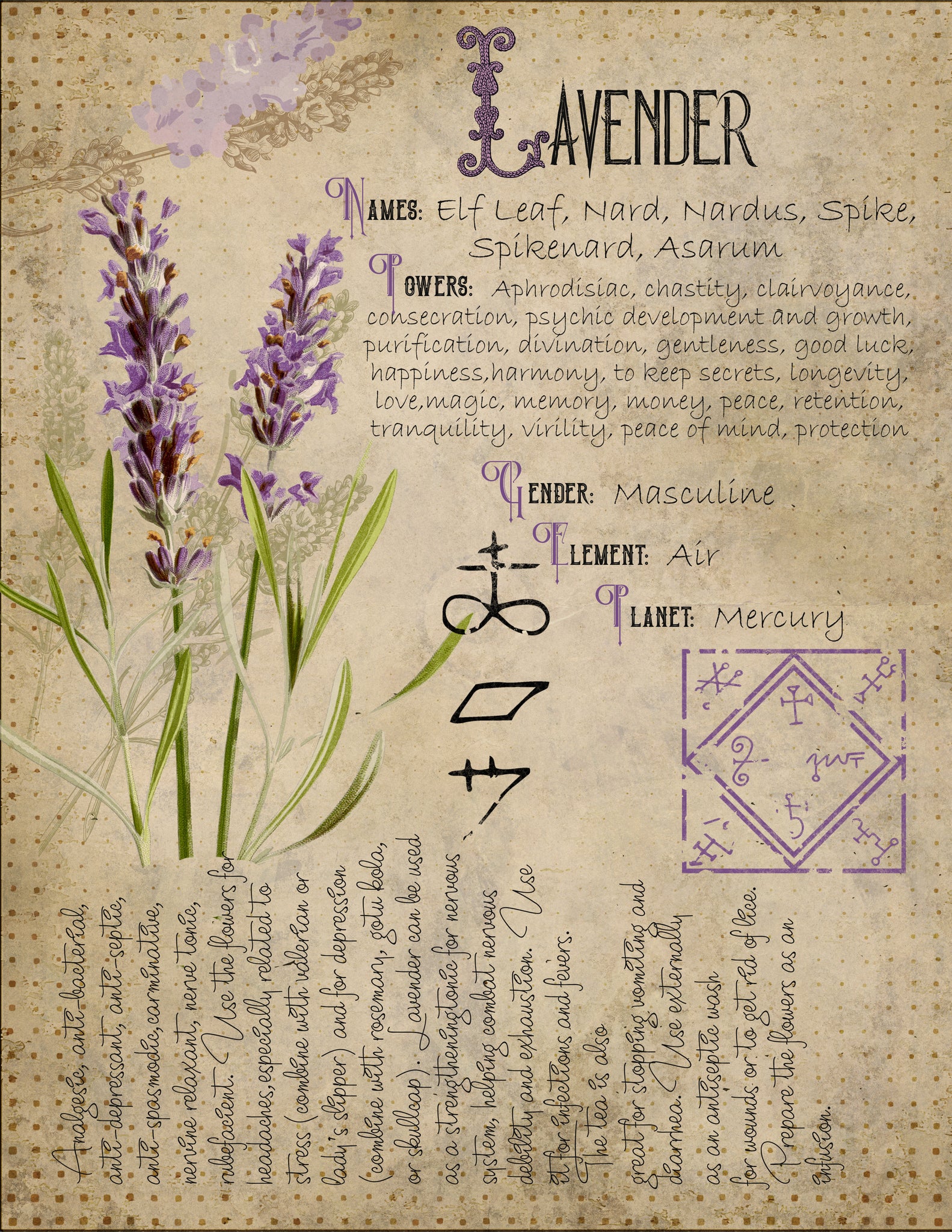 Lavender Aelfen Apothecary